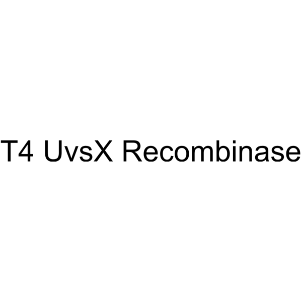 T4 UvsX Recombinase